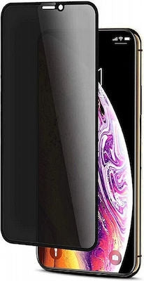 5D Privacy Full Face Tempered Glass (iPhone X / Xs / 11 Pro)